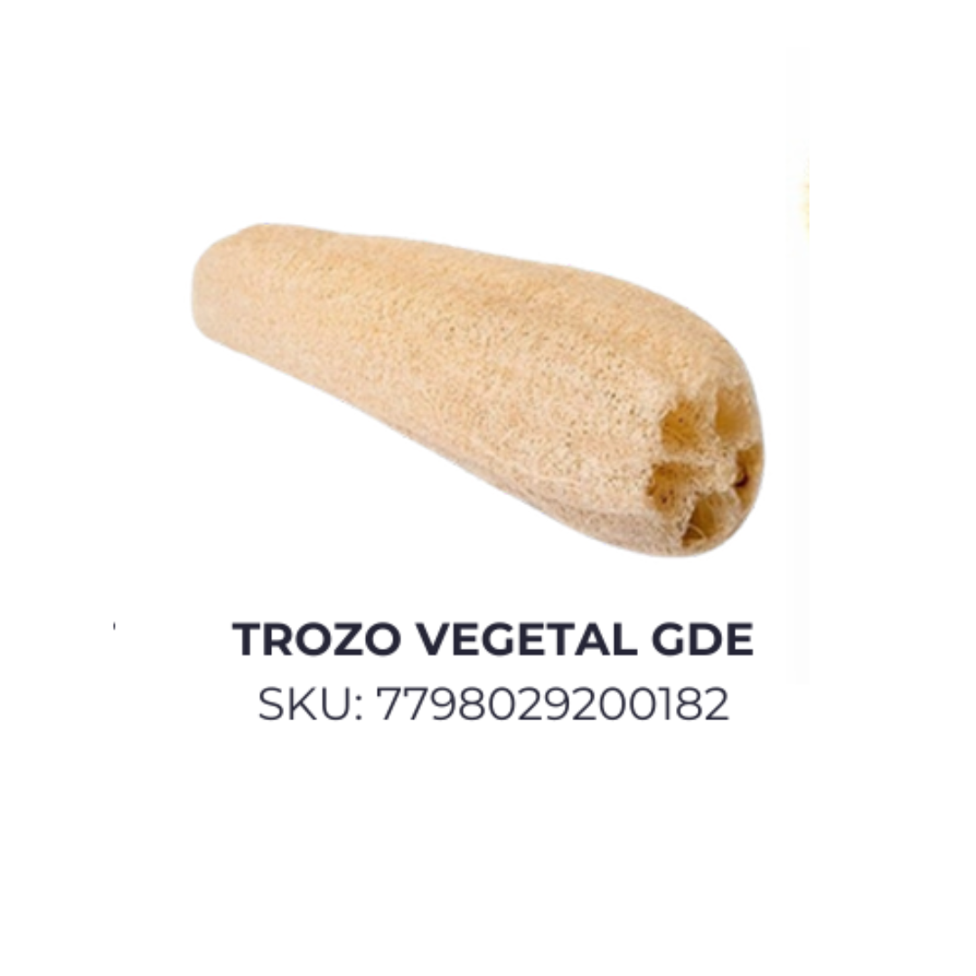 Trozo vegetal Gde