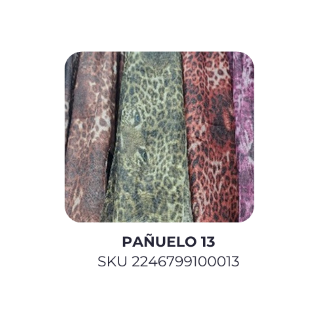 Pañuelo 13