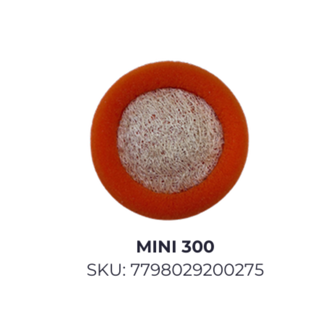 Mini 300